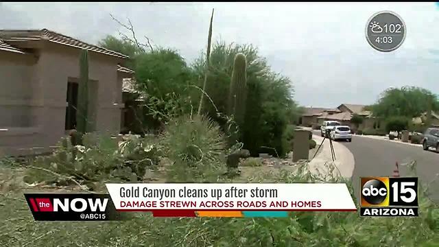 Downburst winds likely caused Gold Canyon damage