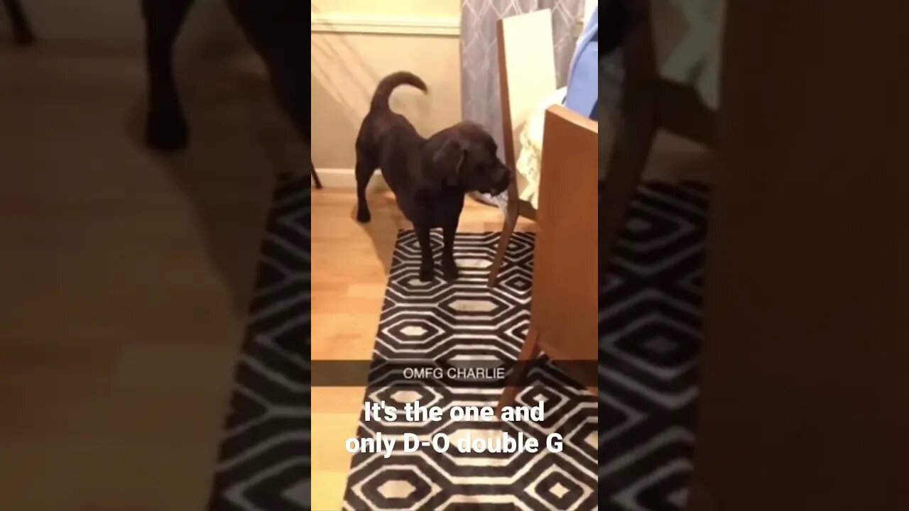 It's the one and only D-O double G #shorts