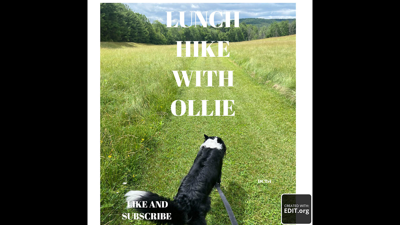 Lunch hike around the lake with Ollie