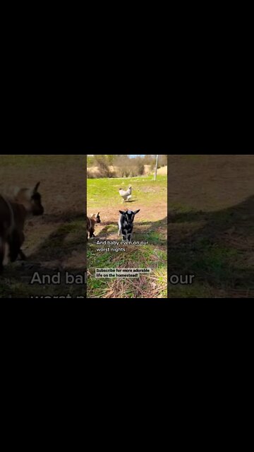 'Cause after all this time I'm still into you #shorts