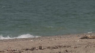 Search continues for 15-year-old swimmer at Headlands Beach State Park