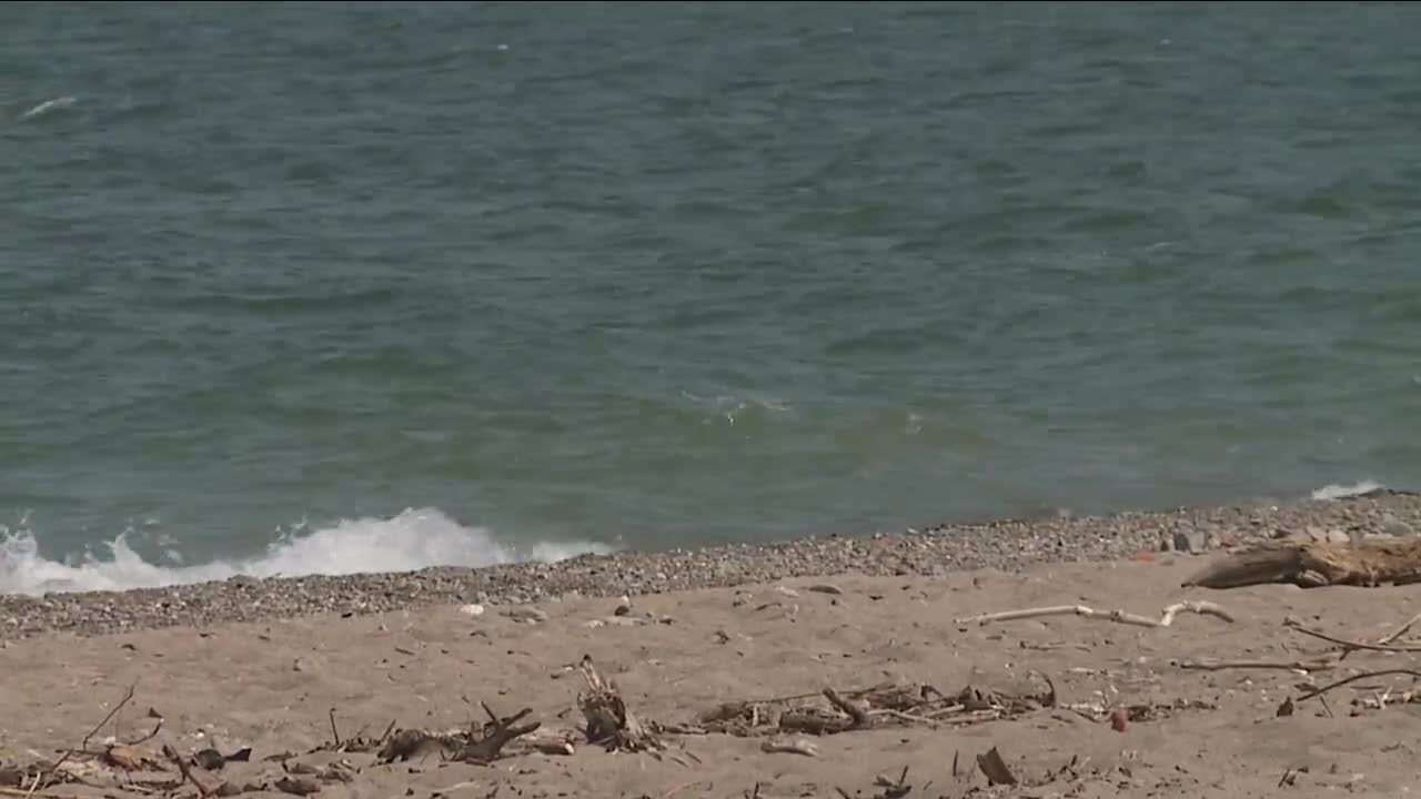 Search continues for 15-year-old swimmer at Headlands Beach State Park