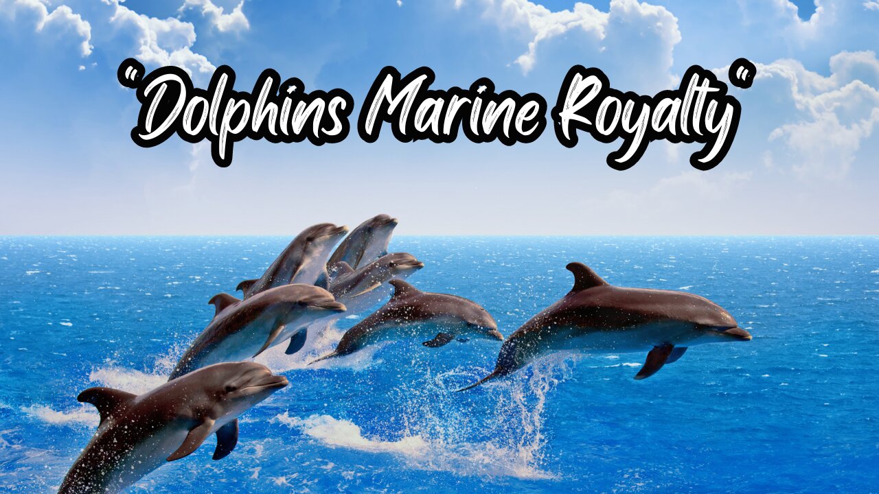 "Dolphins Unveiling the Enigmatic Intelligence of Marine Royalty"