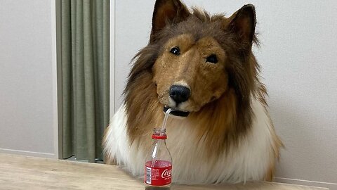 Man Tries To Become A Dog, Has Some (But Not Enough) Regrets
