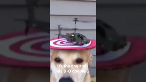 MEME is the one and only D-O double G #shorts