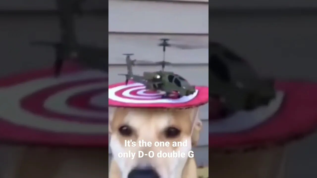 MEME is the one and only D-O double G #shorts