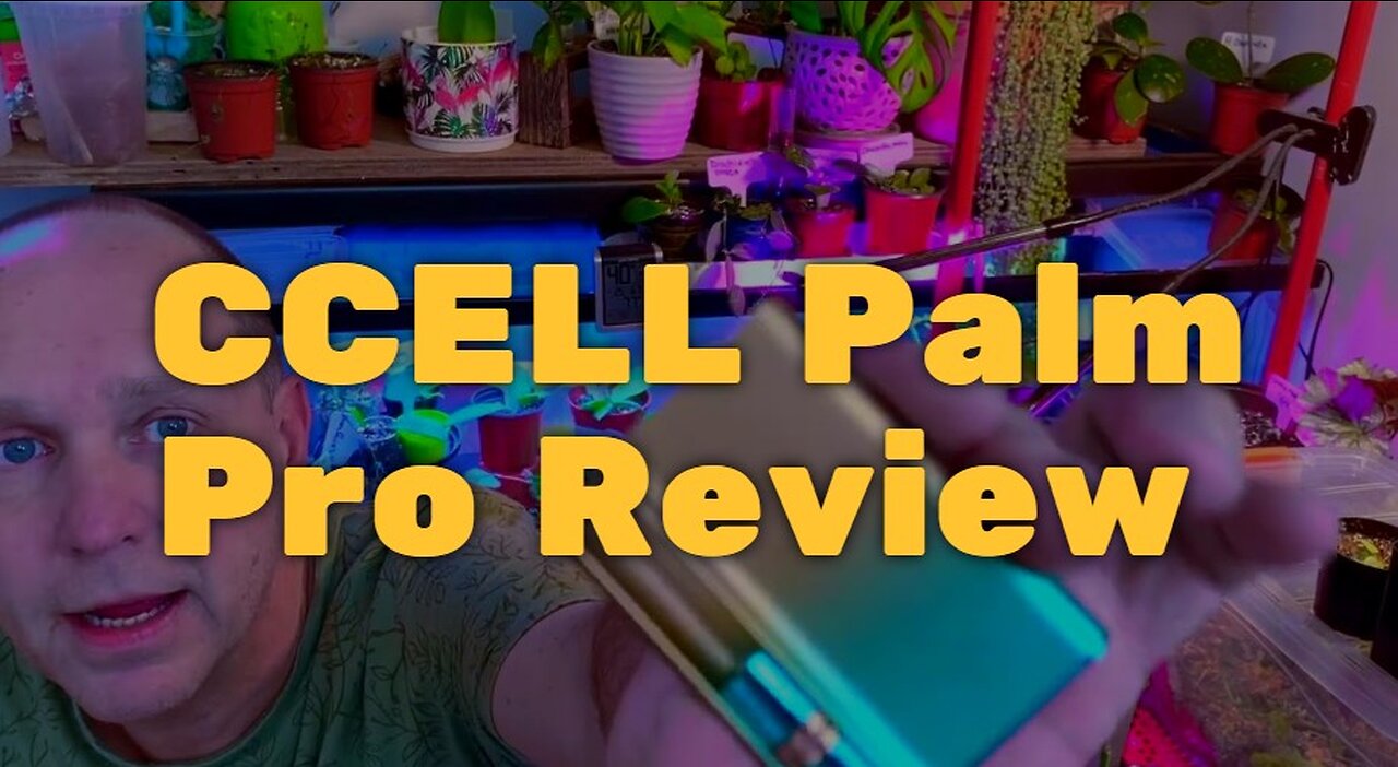 CCELL Palm Pro Review - Just Impressive