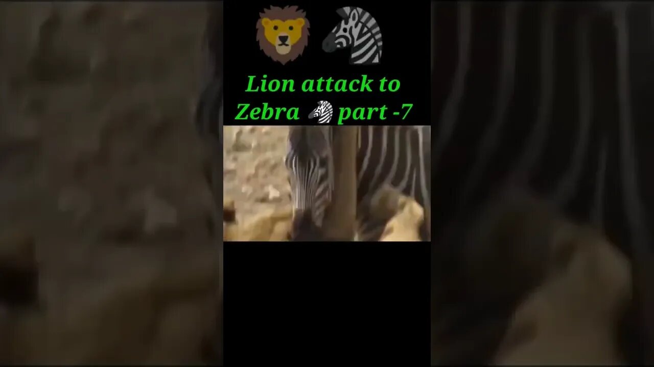 Lion attack to Zebra 2022,🦓 part - 7#shorts #youtubeshorts