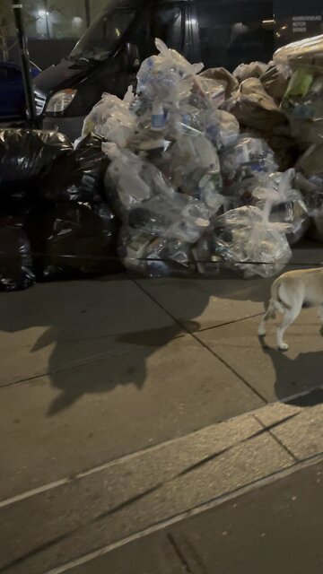 NYC is a dirty shit hole