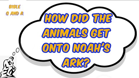 About Noah’s Ark & Animals