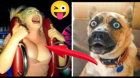 Best animals video 2023 _ funny dogs and cats funniest animals try not to laugh ||