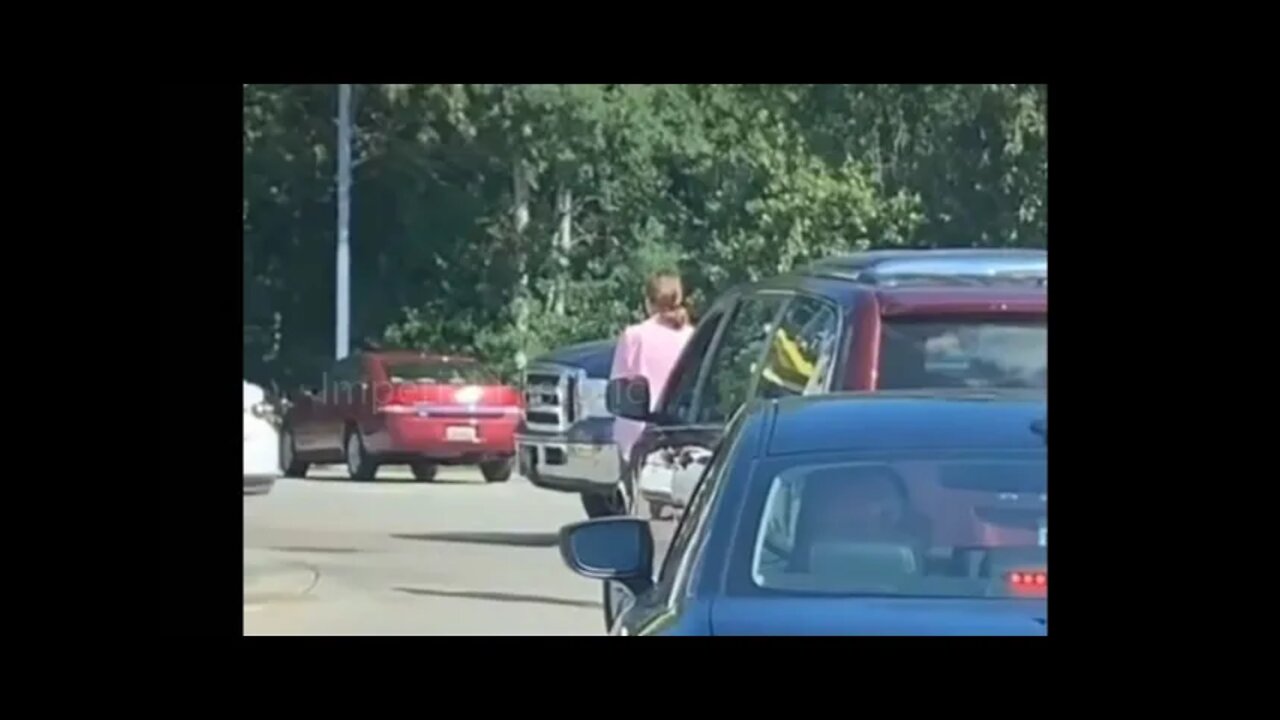 McDonald's Karen Holds Up Traffic - Oblivion NPC