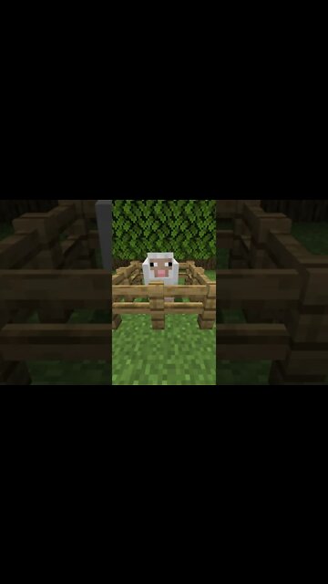 This Minecraft Sheep is not ok....