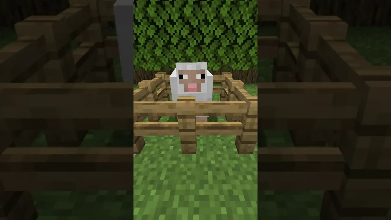 This Minecraft Sheep is not ok....