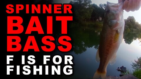 Spinner Bait Bass