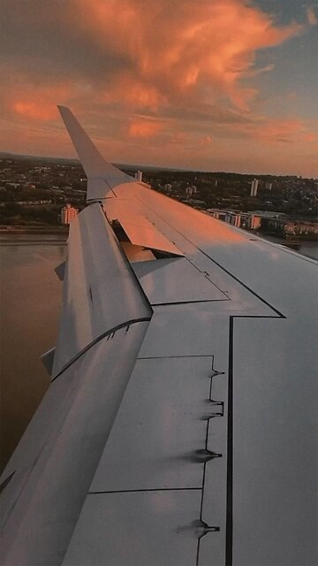 Grooving, 🐪 day style. 😎✈️