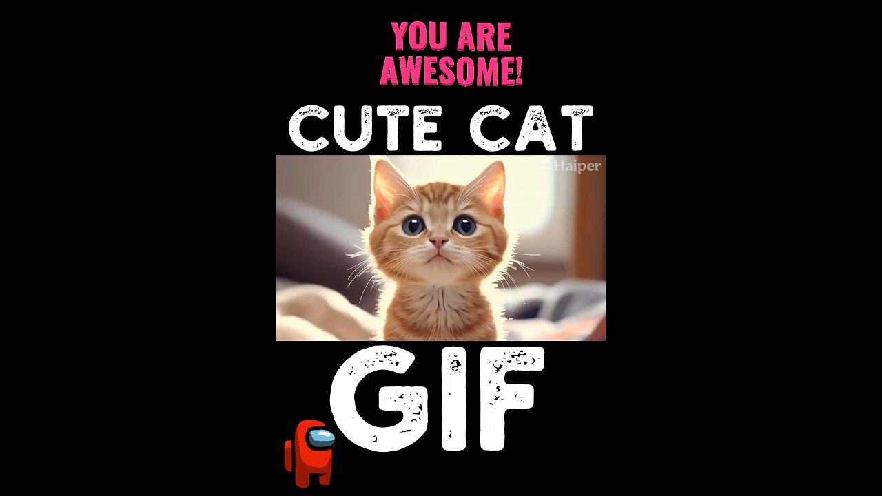 Cute Cat Gif