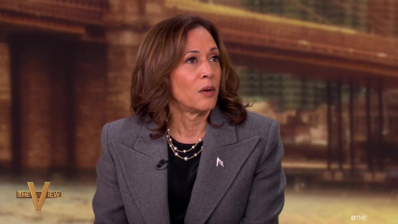 Why Kamala Harris lost the election: "not Joe Biden" but "nothing comes to mind" (on The View, etc)