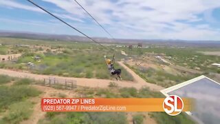 Enjoy high flying fun for the whole family at Predator Zip Lines