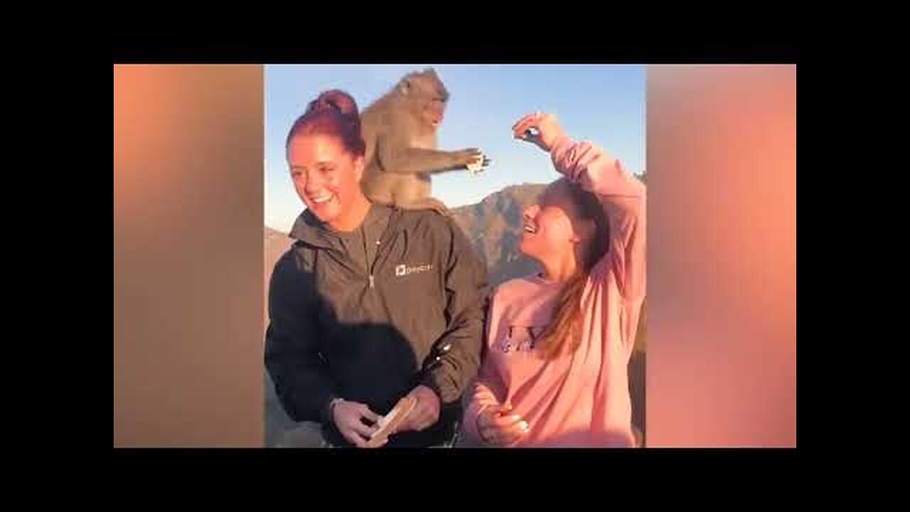 Try Not To Laugh Funny Videos Fails Compilation Постарайся не смеяться Смешные видео Лучшая подборка