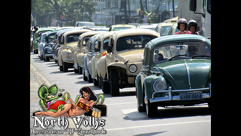 DIA NACIONAL DO FUSCA 2014 NATIONAL VW BEETLE DAY BRAZIL 2014