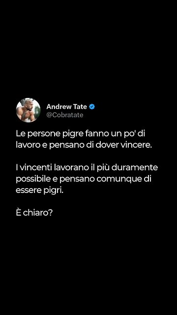 Pigri vs Vincenti - Andrew Tate