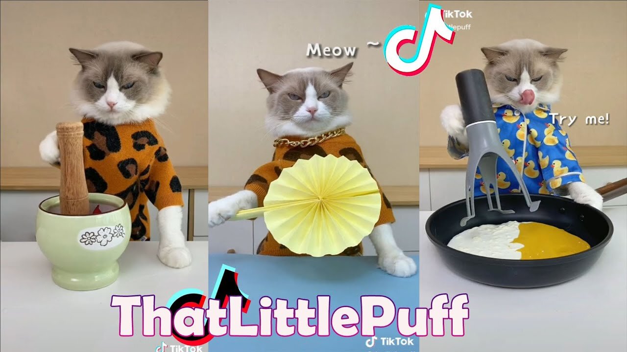 That Little Puff