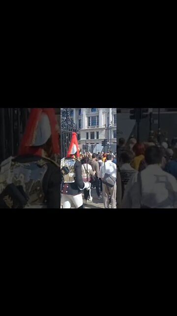 make way #horseguardsparade