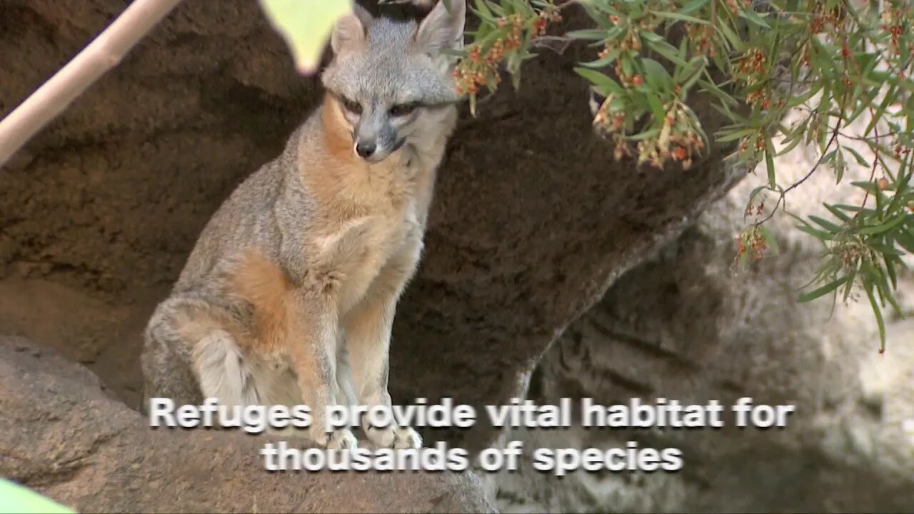 👀 National Wildlife Refuge Week