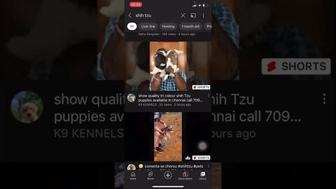 Part 12 - Get Youtube Subscribers FAST (Case Study with PROOF)