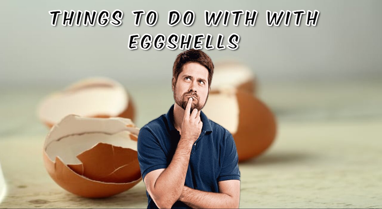 Used of eggshells | what can we do with egg shells