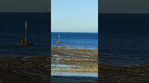 Wednesday Hash on Milford Beach