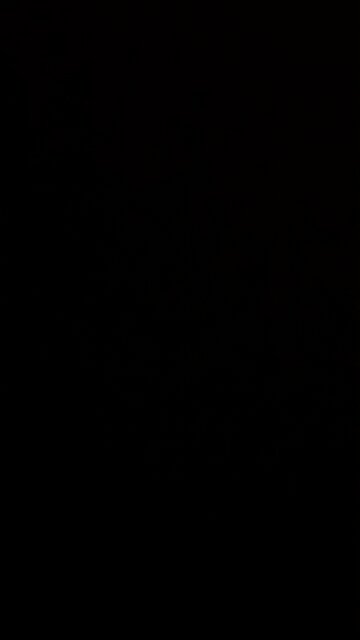 Economic collapse financial news 🗞️