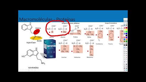 AULA 3 BIOQUÍMICA E REAÇÕES