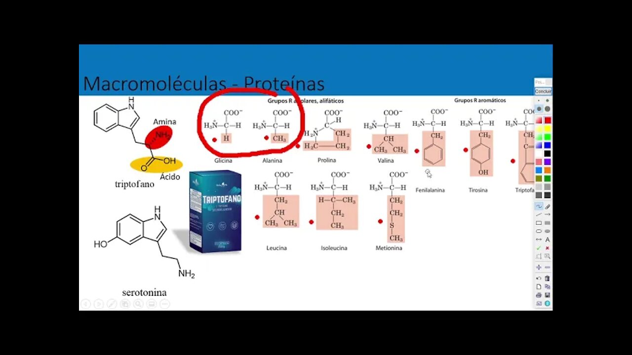 AULA 3 BIOQUÍMICA E REAÇÕES