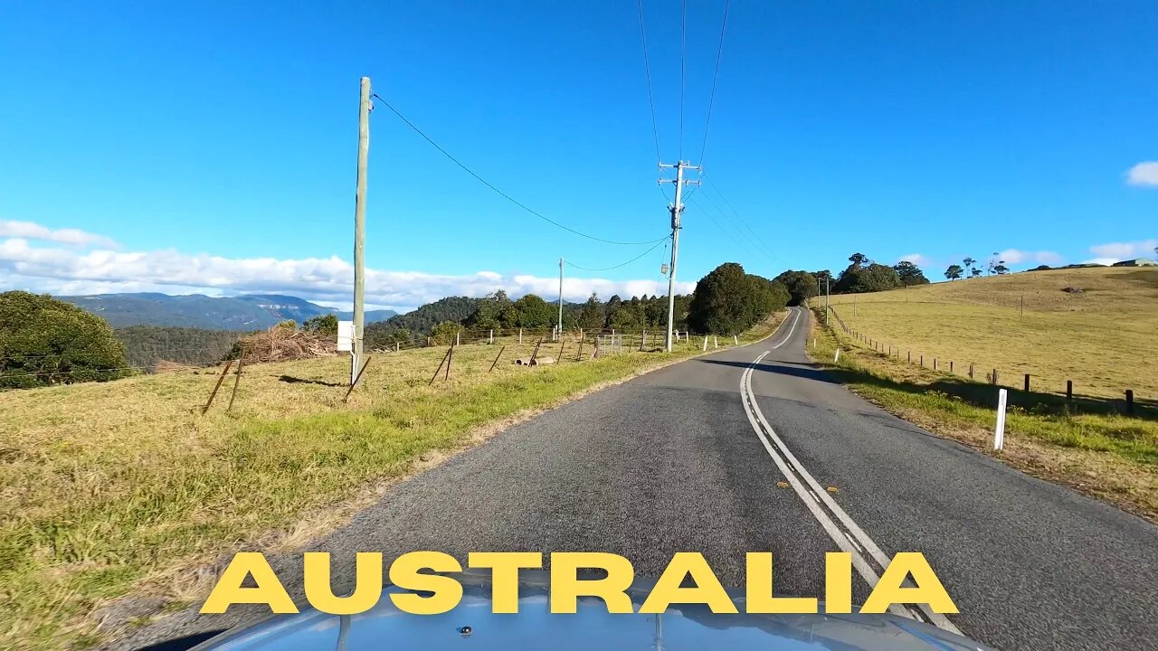 Driving in Gold Coast Hinterland | Binna Burra - Queensland