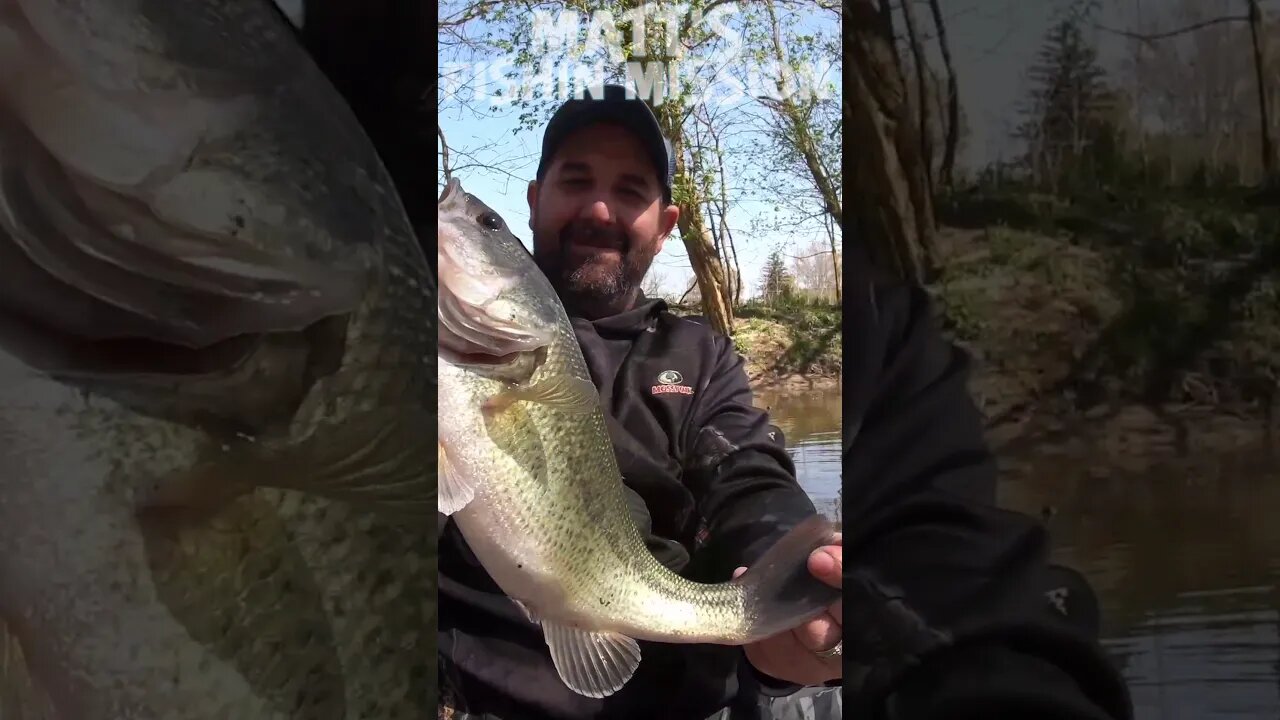 Yakking for a Largie and Bank for Smallie (short version)