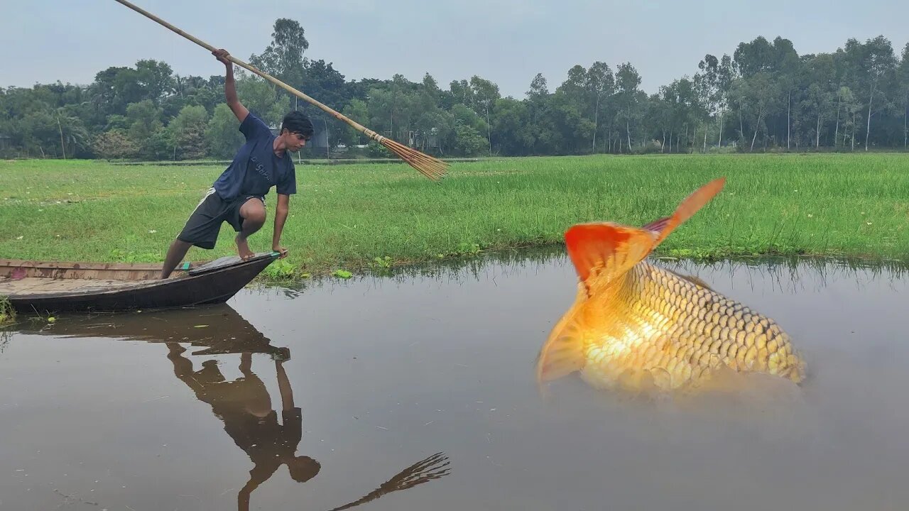 Village Flood Water Boat Cast Koch Fishing Video Best Flood Water Fish Catch From Boat With Teta