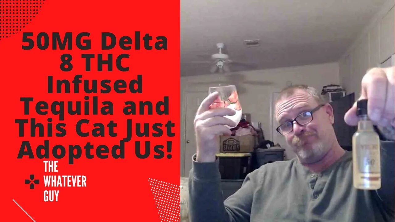 50MG Delta 8 THC Infused Tequila and This Cat Just Adopted Us!