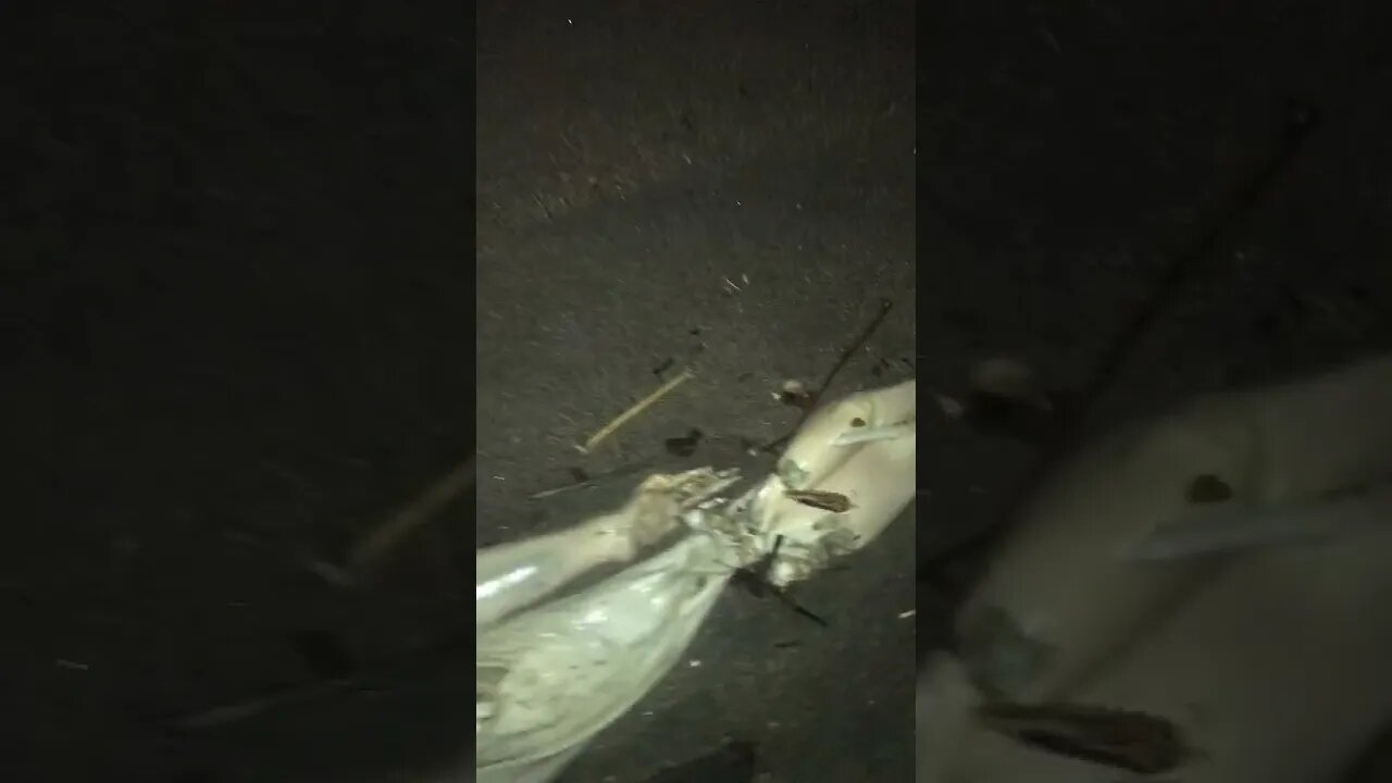 monster found on the beach #shorts