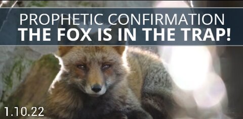 PROPHETIC CONFIRMATION - THE FOX IS IN THE TRAP!