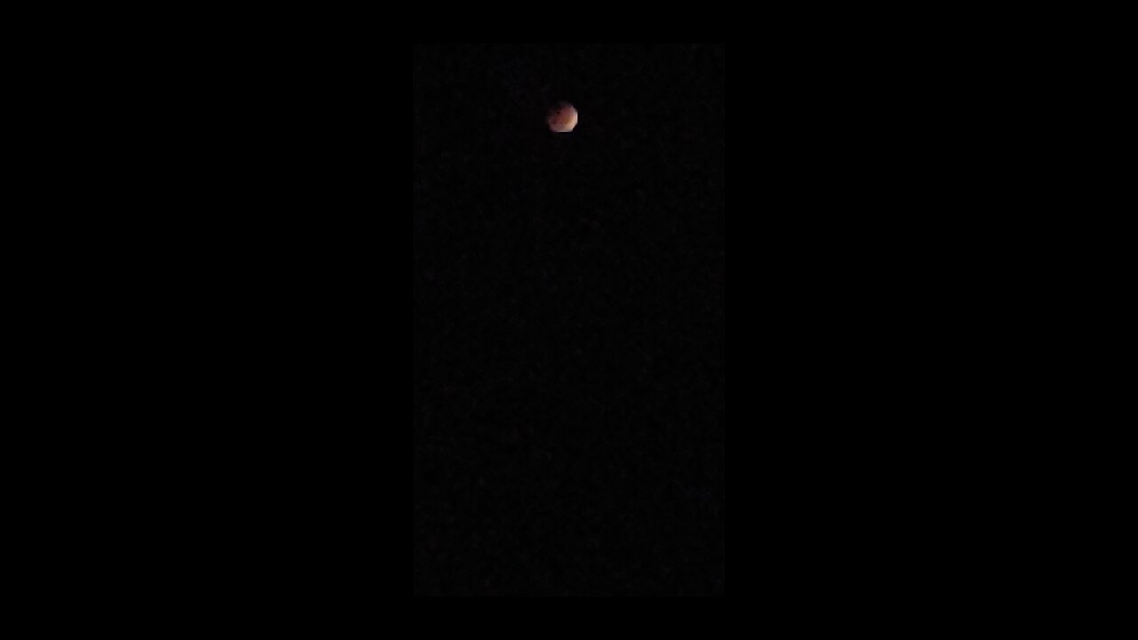 Watching the Blood Moon with my Dogs | 11-8-22