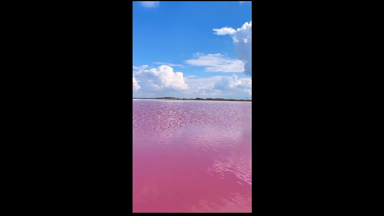 Most Beautiful Pink Sea site in the World💥