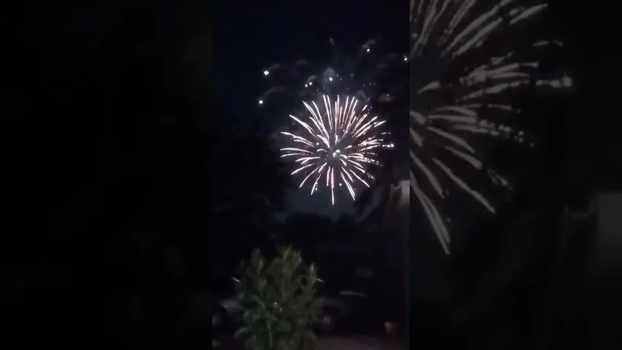 frogs are loud over the fireworks