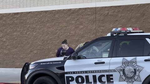 Las Vegas Police arrest organized thieves at target store,