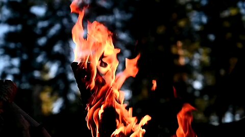 fire video