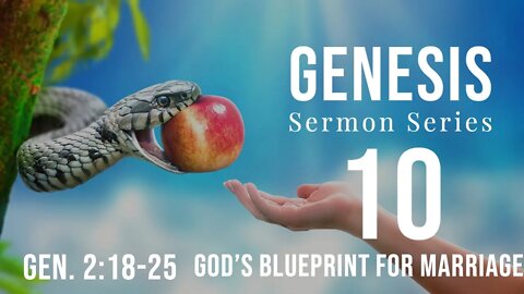 Genesis Sermon Series 10. God's Marriage Blueprint. Genesis 2:18-25