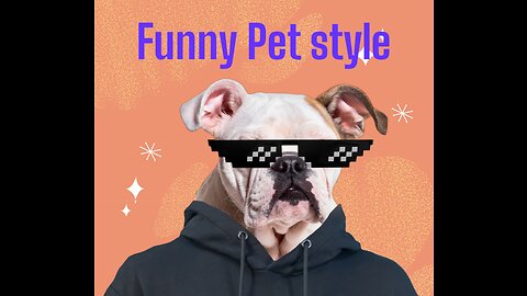 Funny pet making history 😂 Tranding dog video