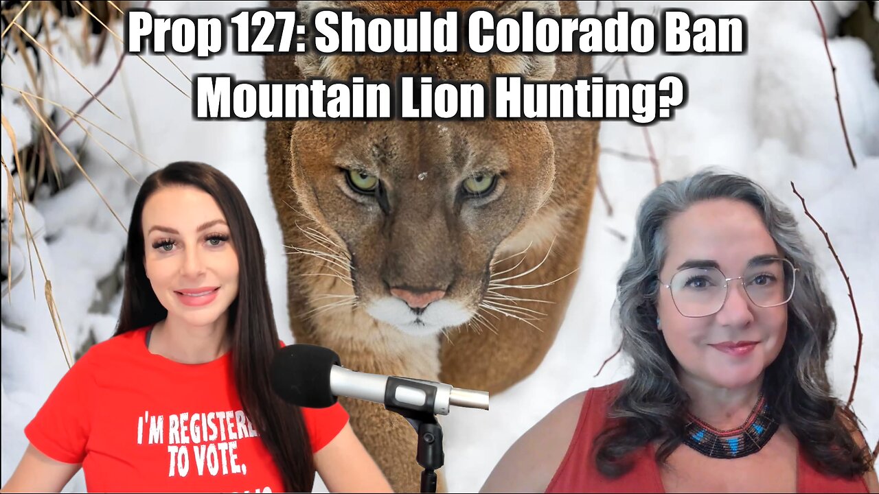 Prop 127: Should Colorado Ban Mountain Lion Hunting? Get the Facts Here!