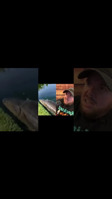 Here’s Your Dose Of REALarious…🤣🤣🤣 with @omgitswicks